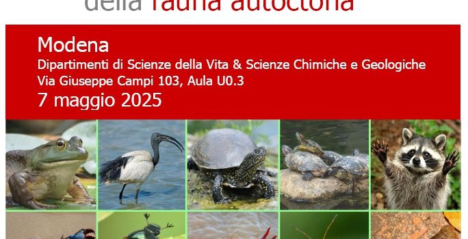 – Animali alieni e conservazione della fauna autoctona – Mercoledì 07 maggio 2025 – Animali alieni e conservazione della fauna autoctona – Mercoledì 07 maggio 2025
